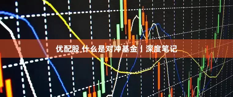 优配股 什么是对冲基金丨深度笔记