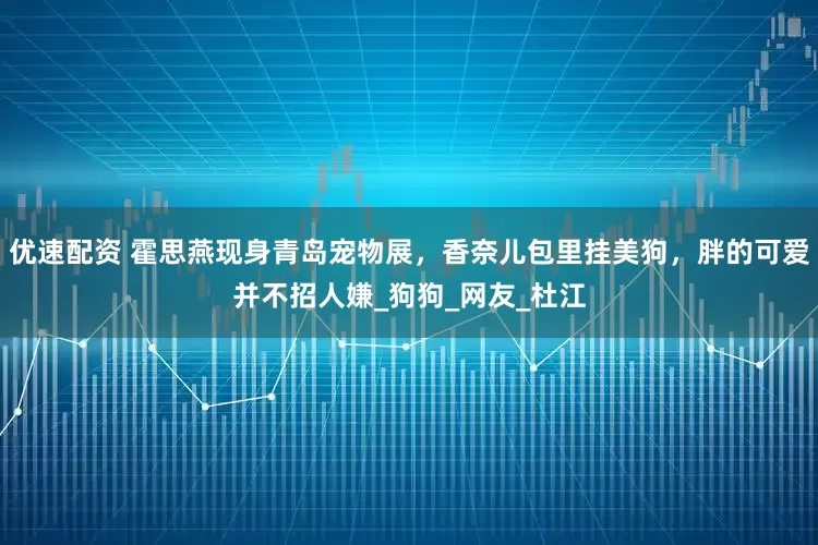 优速配资 霍思燕现身青岛宠物展，香奈儿包里挂美狗，胖的可爱并不招人嫌_狗狗_网友_杜江