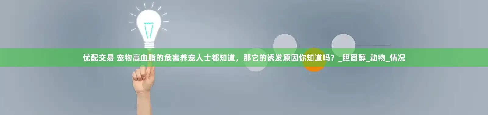 优配交易 宠物高血脂的危害养宠人士都知道，那它的诱发原因你知道吗？_胆固醇_动物_情况