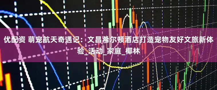 优配资 萌宠航天奇遇记：文昌希尔顿酒店打造宠物友好文旅新体验_活动_家庭_椰林