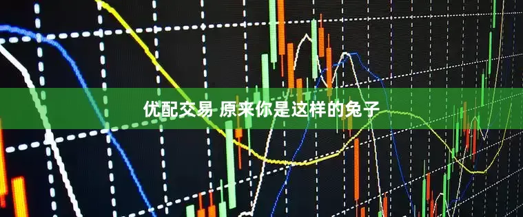 优配交易 原来你是这样的兔子