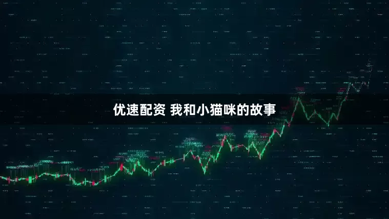 优速配资 我和小猫咪的故事