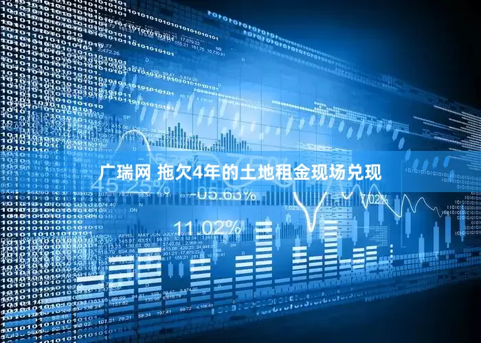 广瑞网 拖欠4年的土地租金现场兑现